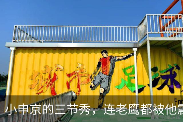 小申京的三节秀，连老鹰都被他震住了！